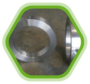 304 SS Bleed Ring Flange