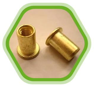Silicon Bronze 655 Rivet Nuts