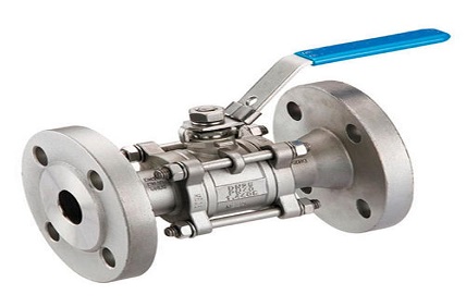 ASTM A351 317 SS Valves
