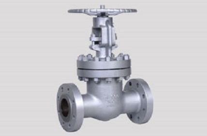 Stainless Steel UNS S31000 Valves