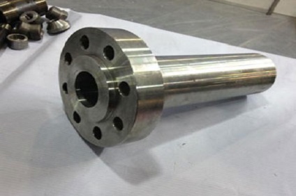 NFE 29203 Flanges