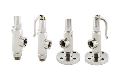 Inconel X750 Valves