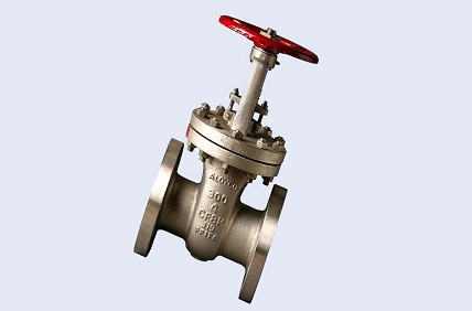 Stainless Steel 309 Valves